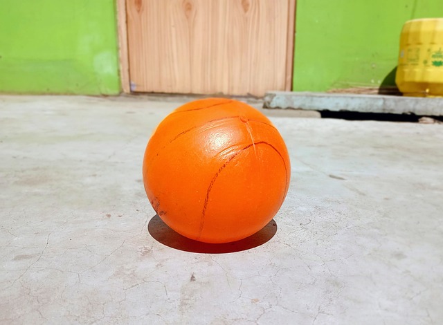 为篮球迷们 为篮球迷们