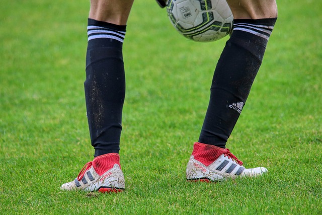 期待欧国联 期待欧国联