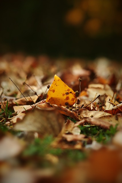 他不仅展现 他不仅展现