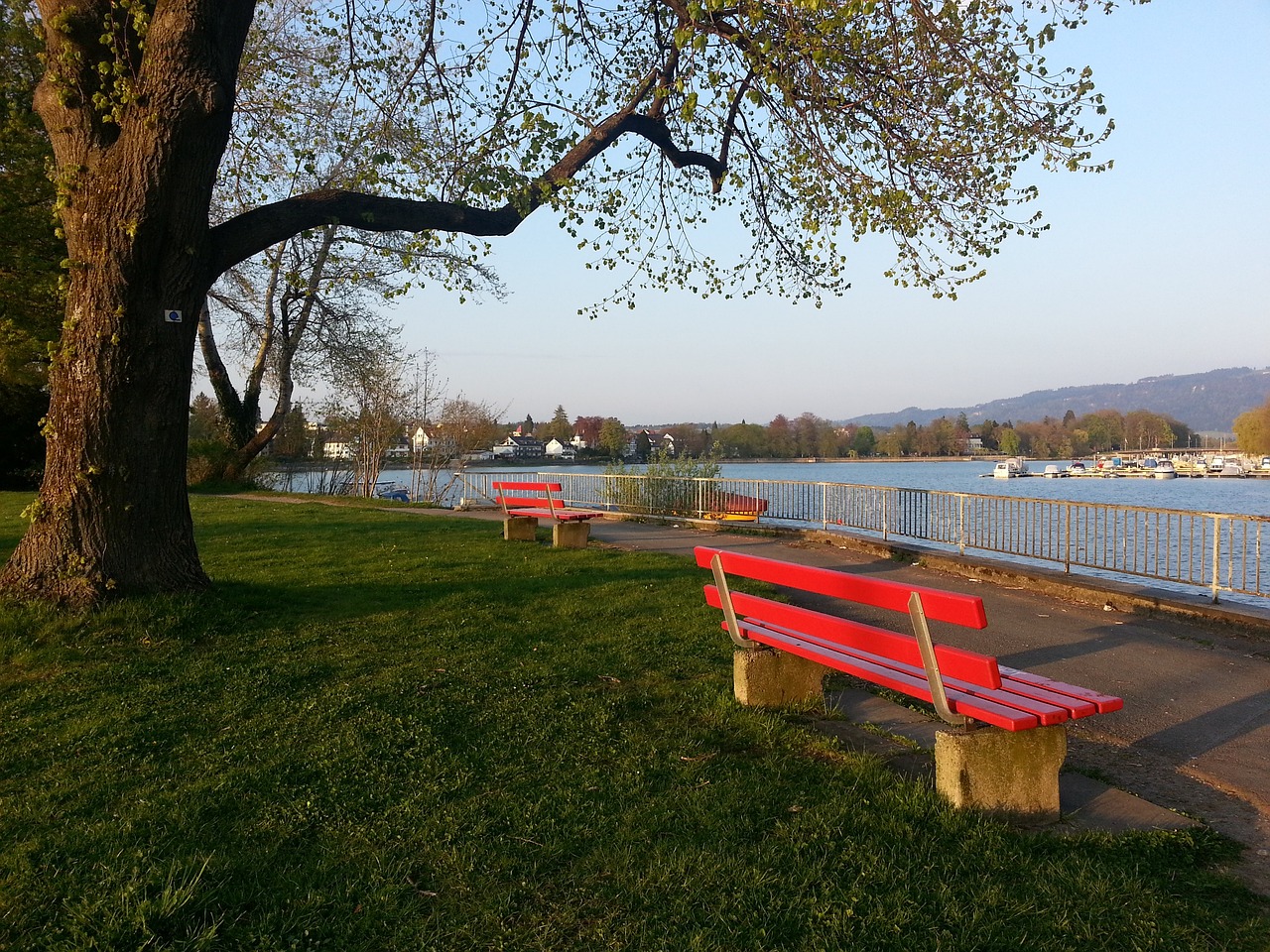 将到来的热 将到来的热