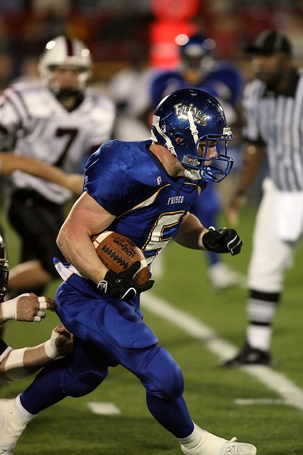 不仅是羽毛 不仅是羽毛