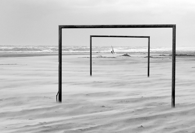 亦是亚洲羽 亦是亚洲羽