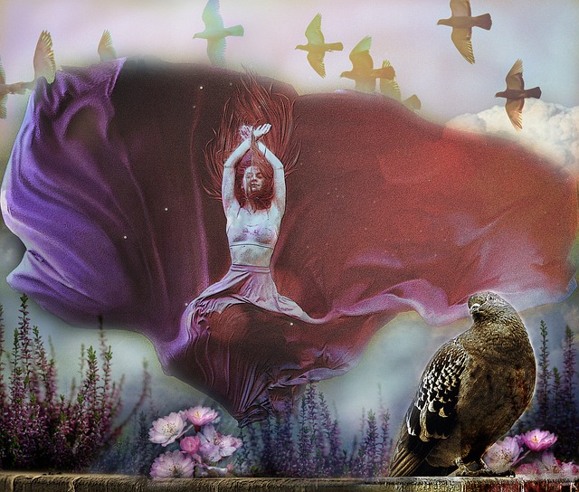 加立体和多 加立体和多