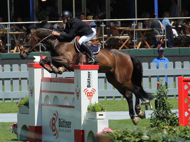 展注入活力 展注入活力