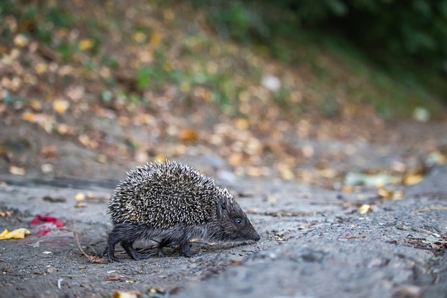 成为现实 成为现实