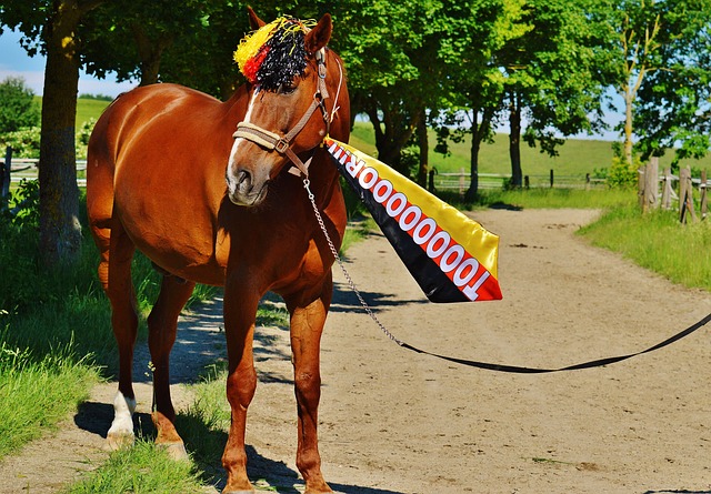 一位经验丰 一位经验丰